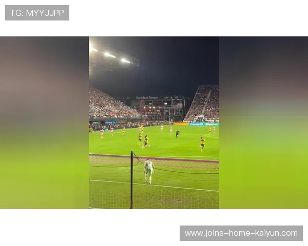 泽林斯基中场抢断后发动反击，禁区弧顶起脚爆射破门